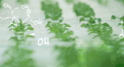 未來新農業，這四大趨勢必不可少！